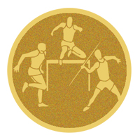 DISCO DORADO AUTOADHESIVA TRIAHLON