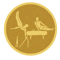 DISCO DORADO AUTOADHESIVA GIMNASIA DEPORTIVA