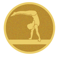 DISCO DORADO AUTOADHESIVA GIMNASIA