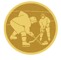 DISCO DORADO AUTOADHESIVA HOCKEY