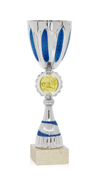 Copa económica con disco de 50mm