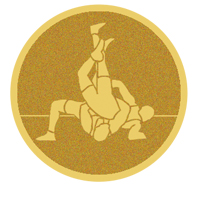 DISCO DORADO AUTOADHESIVA LUCHA