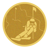 DISCO DORADO AUTOADHESIVA SKY