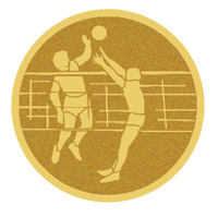 DISCO DORADO AUTOADHESIVA VOLEIBOL