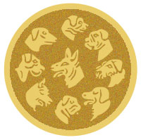 DISCO DORADO AUTOADHESIVA PERRO