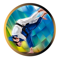 DISCO EPOXY JUDO