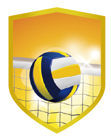 APLIQUE ALUMINIO VOLEIBOL  7 x 9 cm