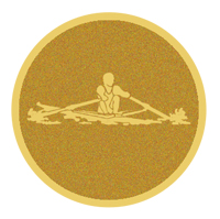 DISCO DORADO AUTOADHESIVA REMO