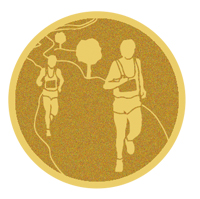 DISCO DORADO AUTOADHESIVA CARRERA